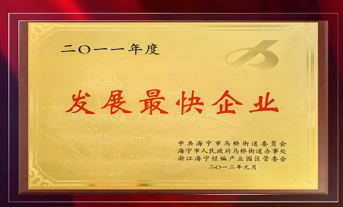 发展最快企业