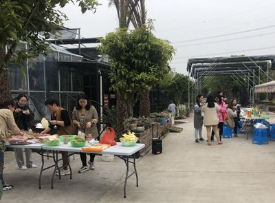 最是一年春好处，莫负春光烧野饭